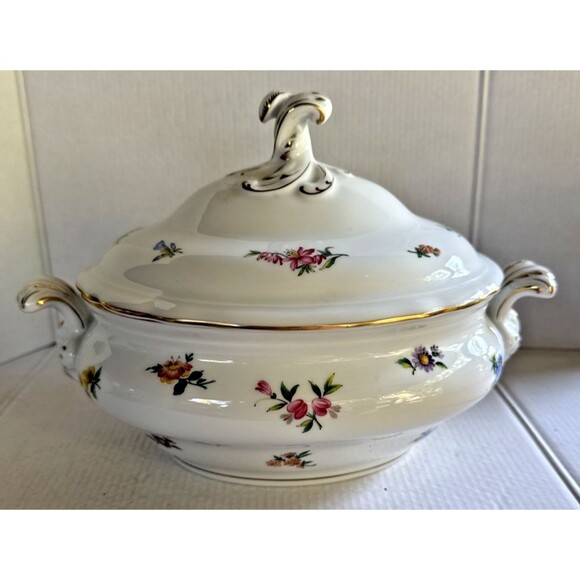 Vintage HUTSCHENREUTHER Mirabell Maria Theresia Dinnerware: HANDLED CASSEROLE - Picture 1 of 8